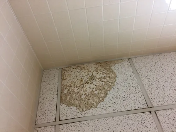 Ceiling collapse and heat outage at Milwaukee apartment highlight city’s winter housing maintenance pressures