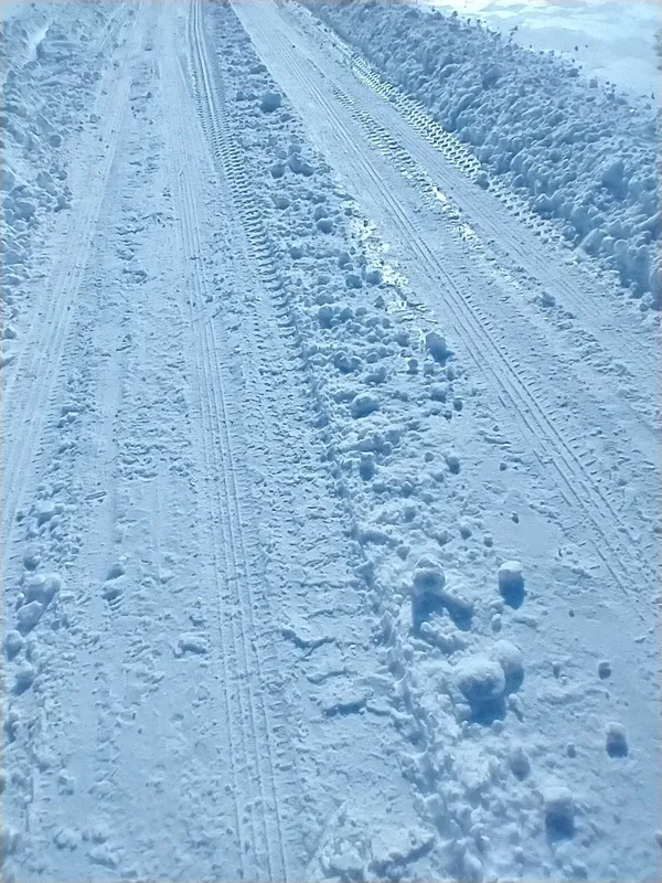 City Advisory: Extreme Cold Alerts and Essential Service Updates for January 25