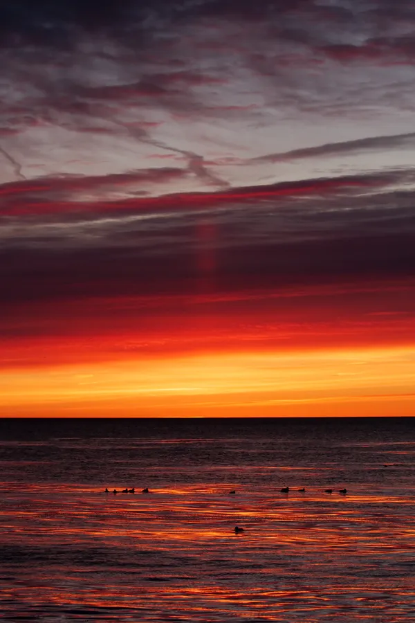 Gold Lights and Sub-Zero Bites: The Milwaukee Morning Briefing